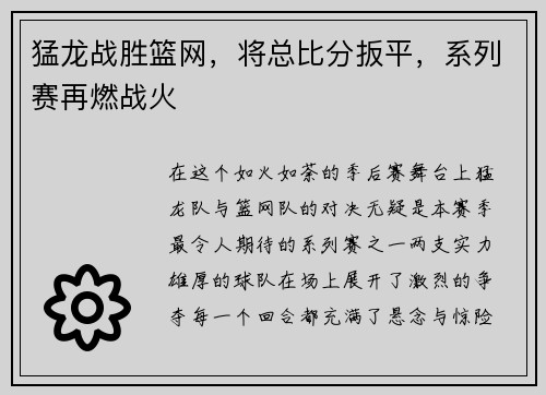 猛龙战胜篮网，将总比分扳平，系列赛再燃战火