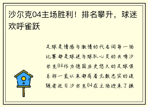 沙尔克04主场胜利！排名攀升，球迷欢呼雀跃